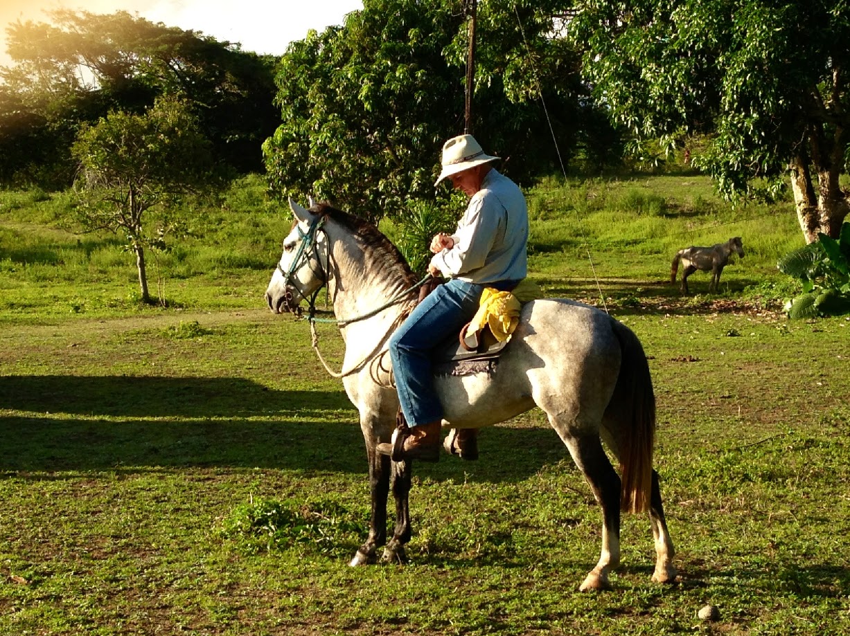 recorridos a caballo